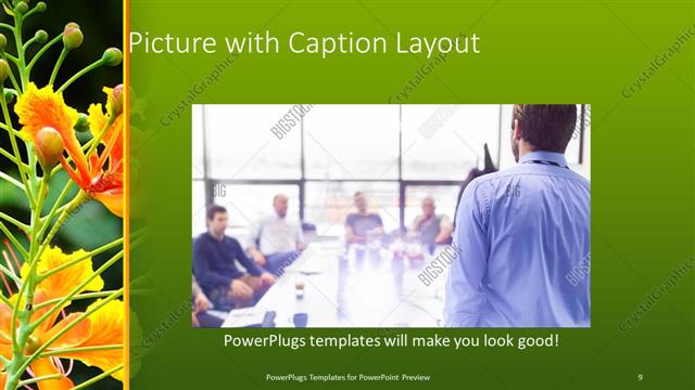 Picture with Caption presentation slide layout