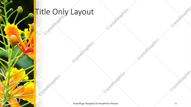 Title Only presentation slide layout