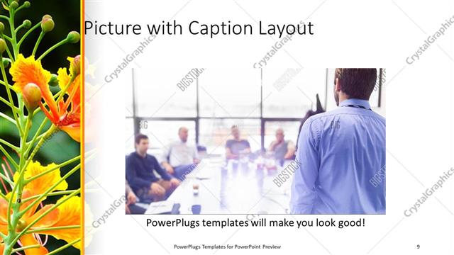 Picture with Caption presentation slide layout