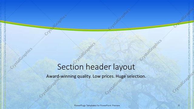 Section Header presentation slide layout