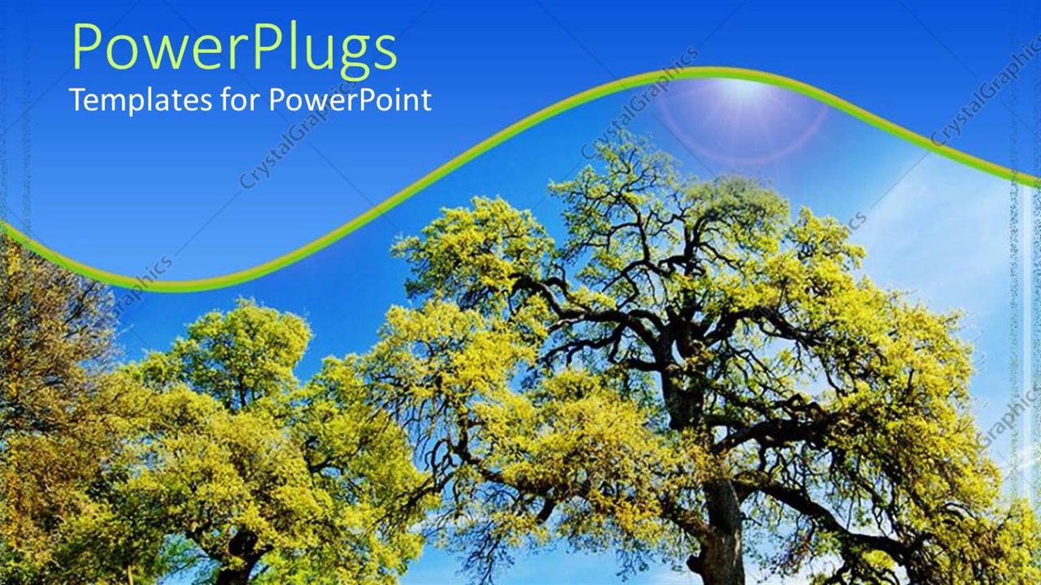 Premium Template for PowerPoint & Google Slides 