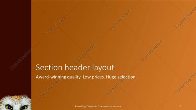 Section Header presentation slide layout