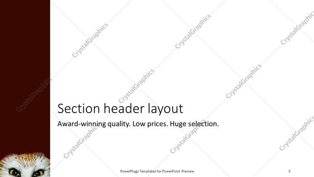 Section Header presentation slide layout