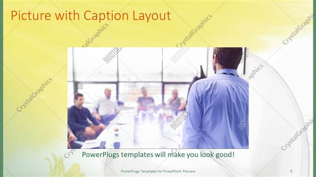 Picture with Caption presentation slide layout