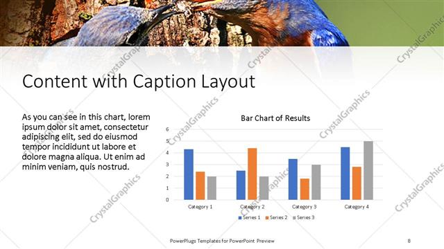 Content with Caption presentation slide layout