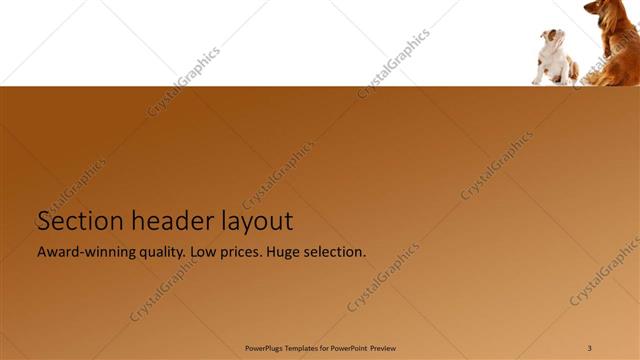 Section Header presentation slide layout