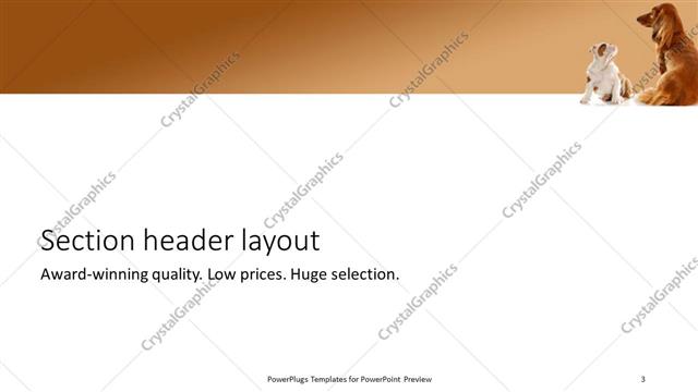 Section Header presentation slide layout
