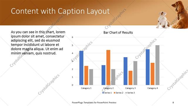 Content with Caption presentation slide layout