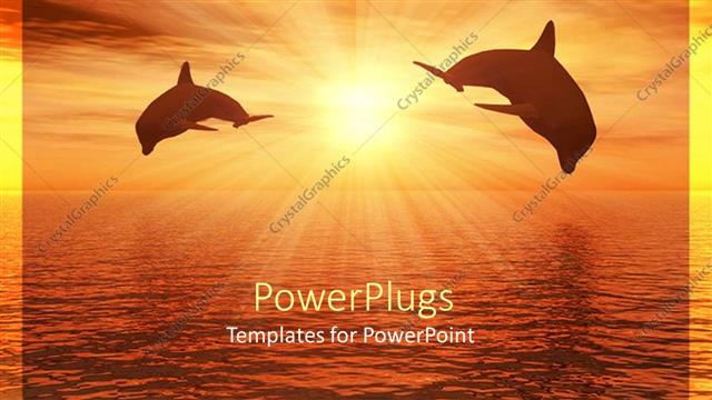  Presentation with dolphin - A pair of dolphins with sun in the background