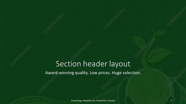 Section Header presentation slide layout