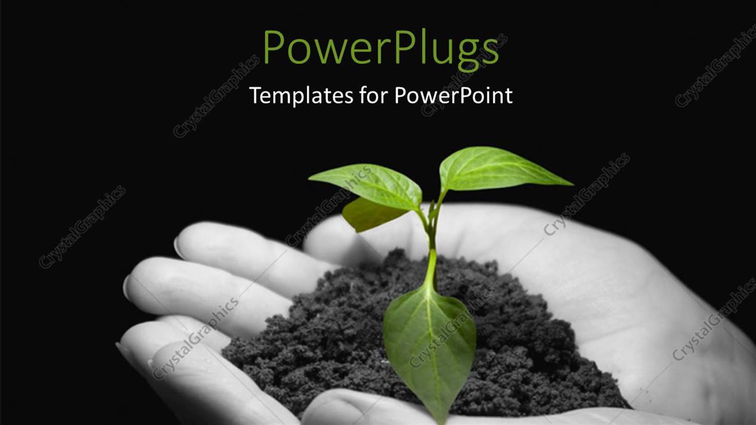 Premium Template for PowerPoint & Google Slides 