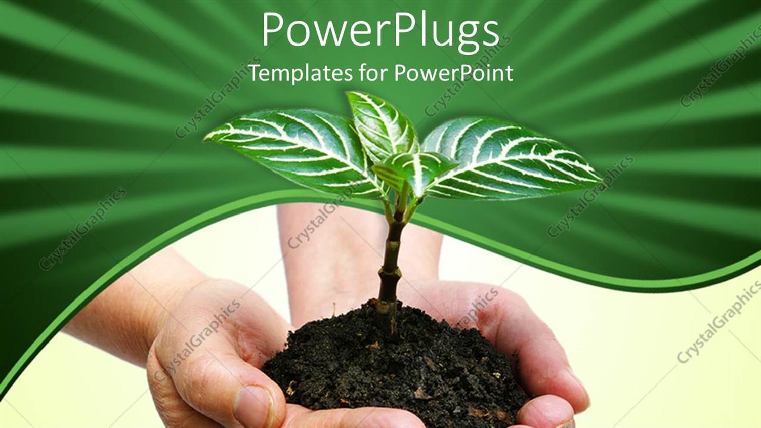 Featuring a Pair of Hands Holding a small Plant with Green Background