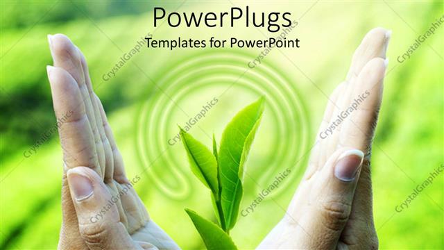  Presentation with green life - Pair hands holding young plant with green background