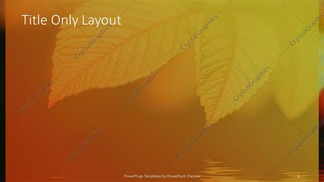 Title Only presentation slide layout