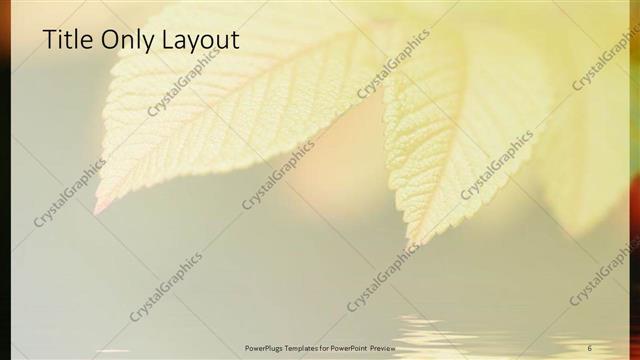 Title Only presentation slide layout