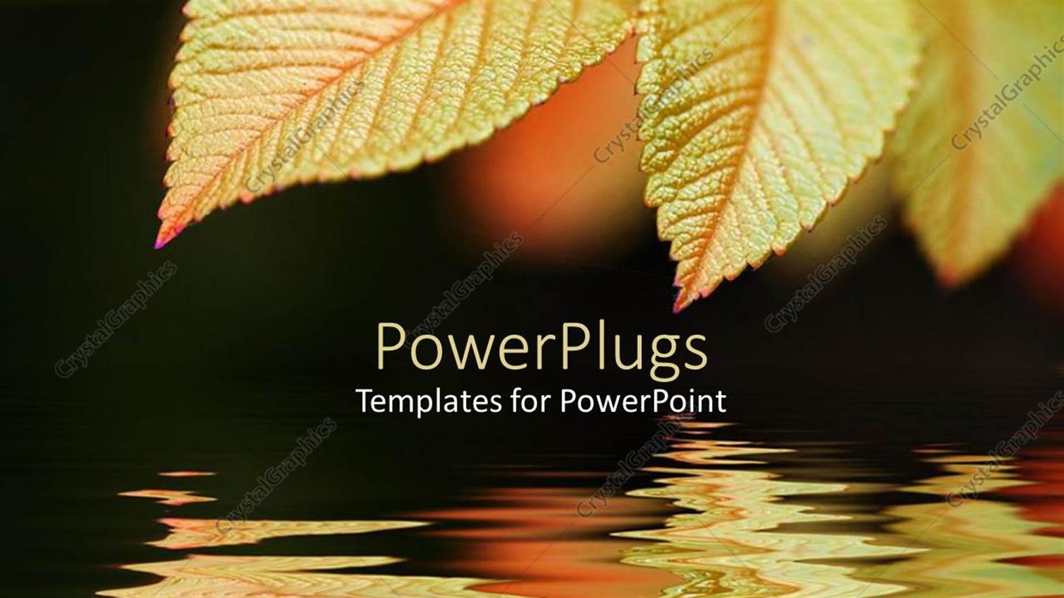 Premium Template for PowerPoint & Google Slides 