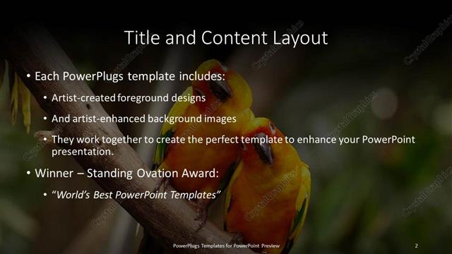 Title and Content presentation slide layout