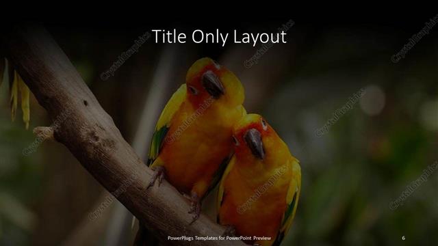 Title Only presentation slide layout