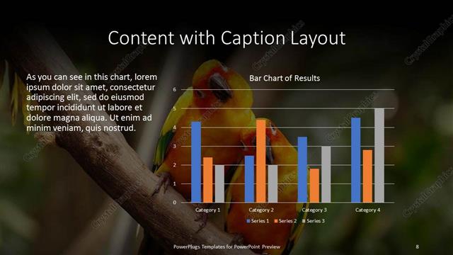 Content with Caption presentation slide layout