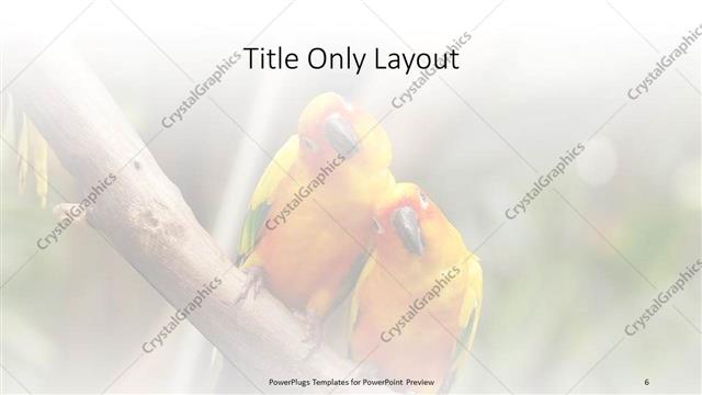 Title Only presentation slide layout