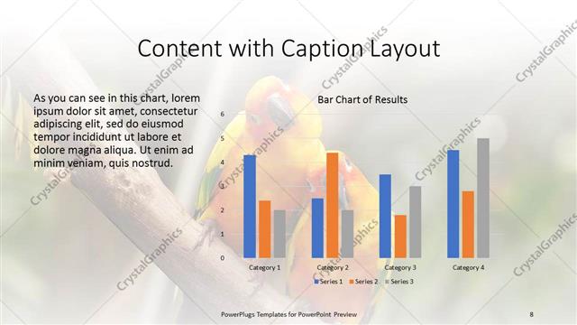 Content with Caption presentation slide layout