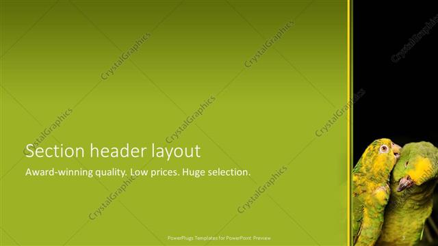Section Header presentation slide layout