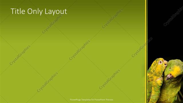 Title Only presentation slide layout