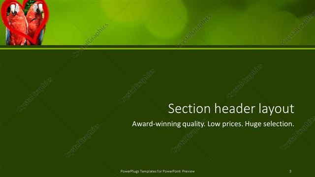 Section Header presentation slide layout
