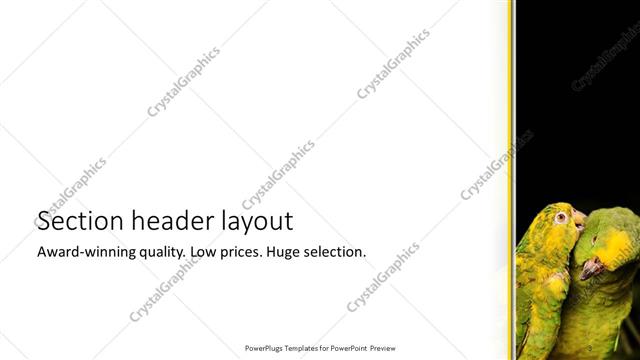 Section Header presentation slide layout