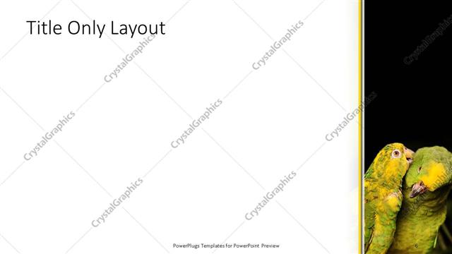 Title Only presentation slide layout