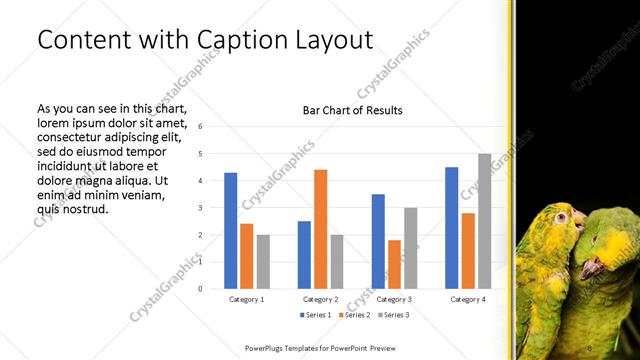 Content with Caption presentation slide layout