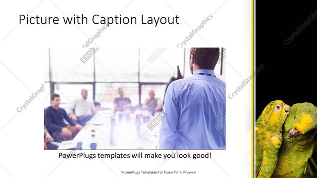 Picture with Caption presentation slide layout