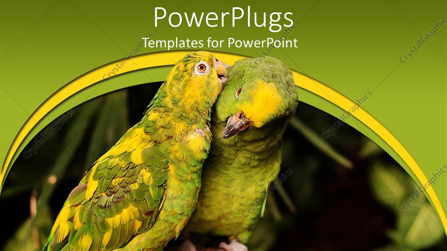 Premium Template for PowerPoint & Google Slides 