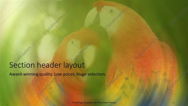 Section Header presentation slide layout