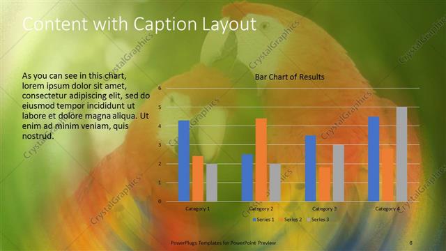 Content with Caption presentation slide layout