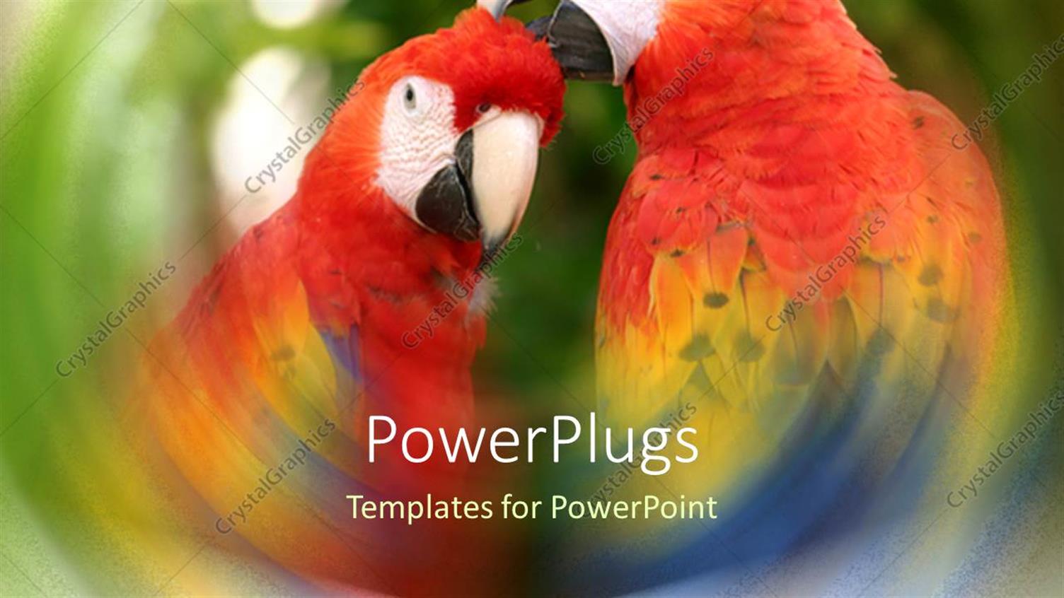 Premium Template for PowerPoint & Google Slides 