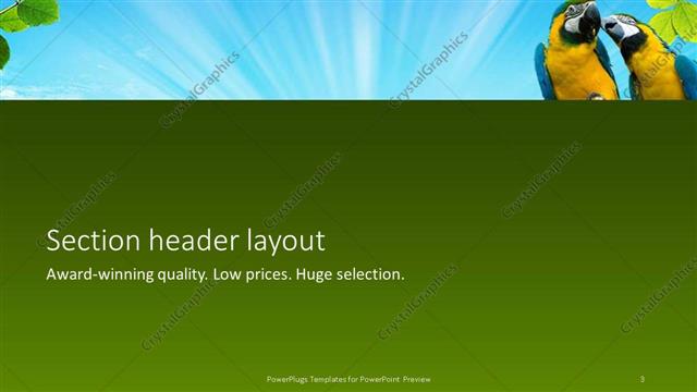 Section Header presentation slide layout