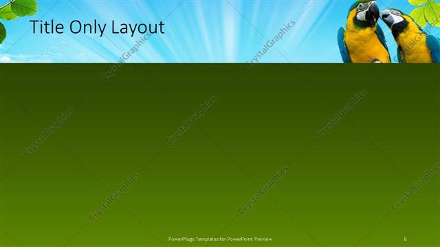 Title Only presentation slide layout