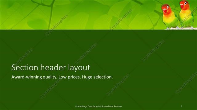 Section Header presentation slide layout