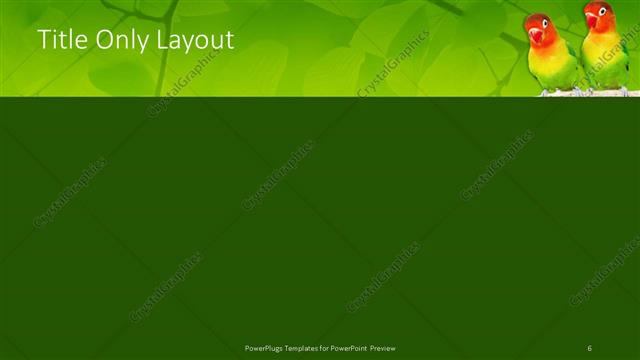 Title Only presentation slide layout