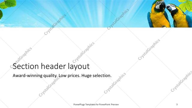 Section Header presentation slide layout