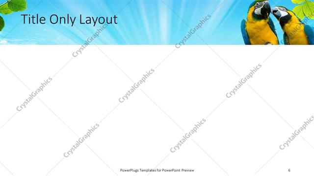 Title Only presentation slide layout