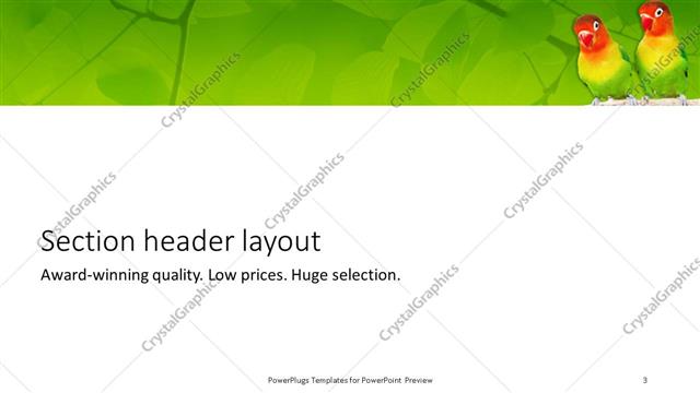 Section Header presentation slide layout
