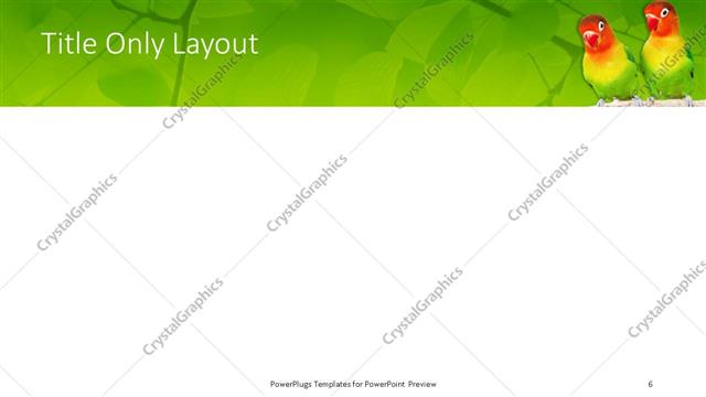 Title Only presentation slide layout