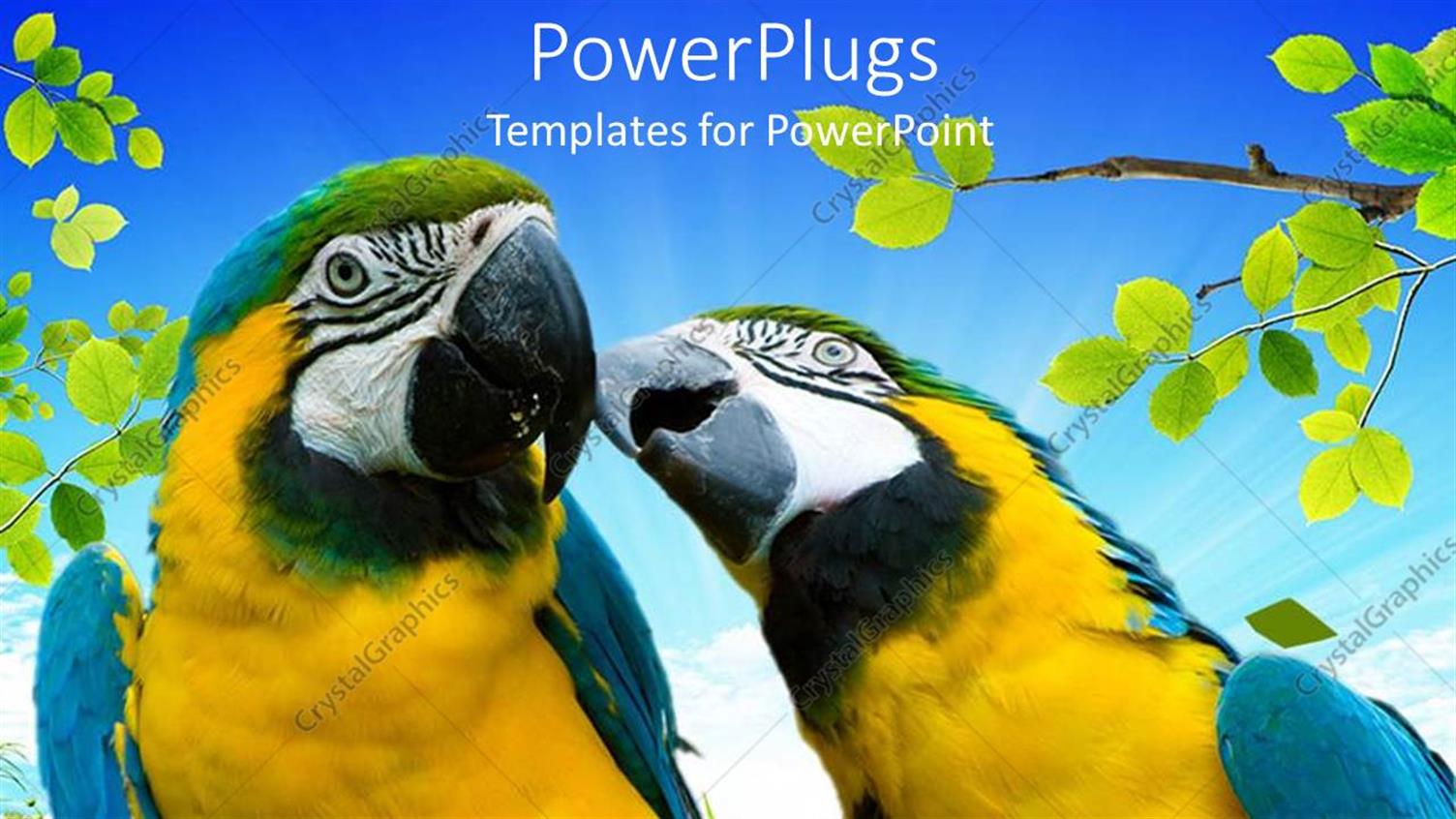 Premium Template for PowerPoint & Google Slides 