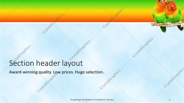 Section Header presentation slide layout