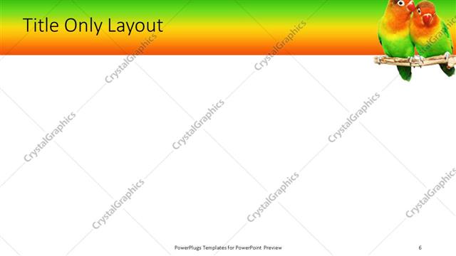 Title Only presentation slide layout