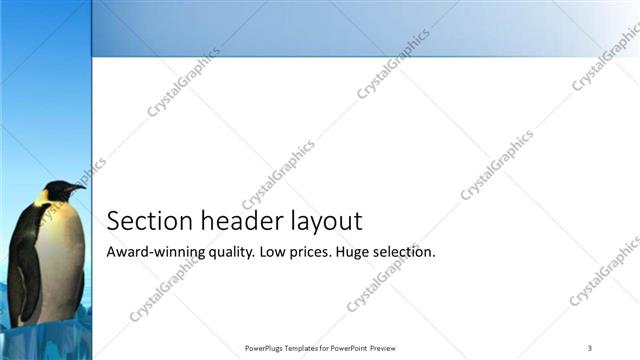 Section Header presentation slide layout