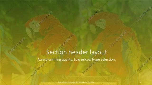 Section Header presentation slide layout