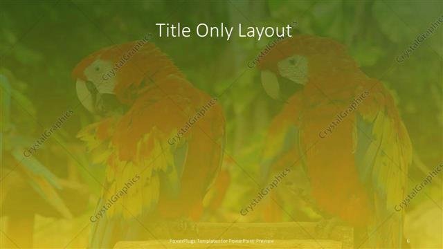 Title Only presentation slide layout